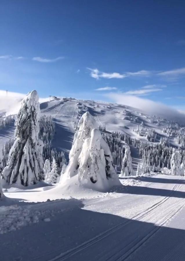 Sunny Kop Cardaci Apartamento Kopaonik Exterior foto